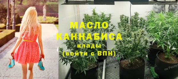 прущие грибы Абинск